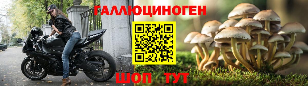 Псилоцибиновые грибы мухоморы  Галлюциногенные грибы мухоморы  Азнакаево  Вход с VPN 